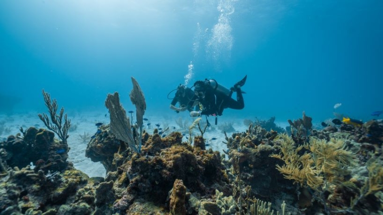 Family of Kenneth Lowery may have Negligence/Wrongful Death Case against Dive Tour Company