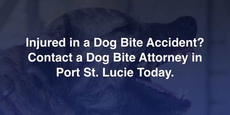 Injured in a Dog Bite Accident? Contact a Dog Bite Attorney in Port St. Lucie Today.